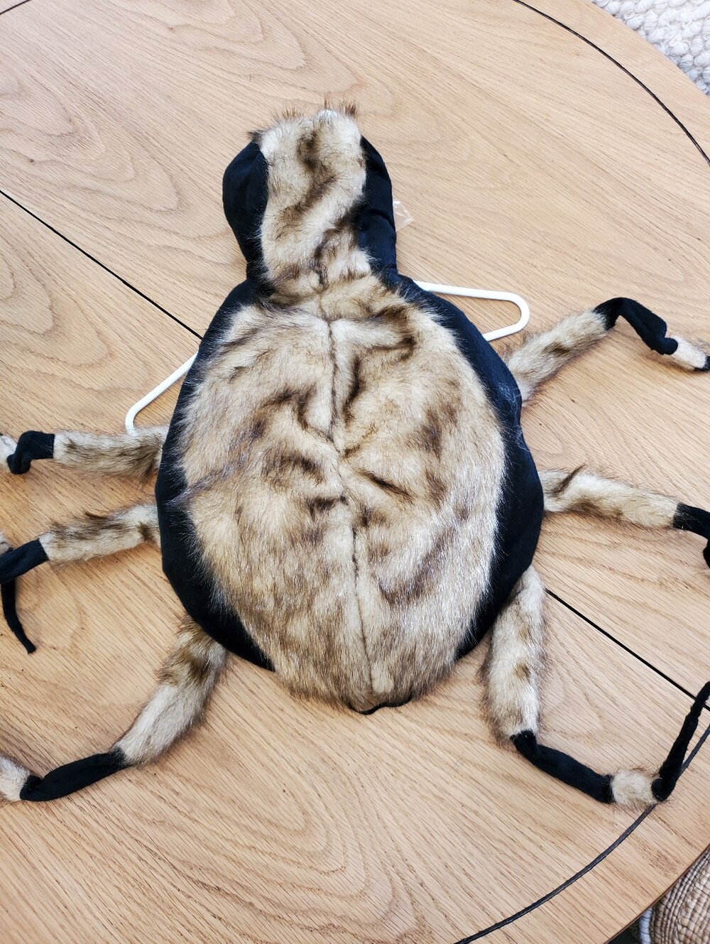 Dog Halloween Costume Spider